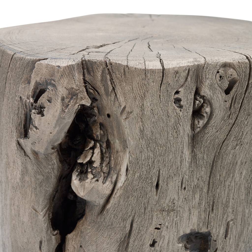 Solid Wood Stump
