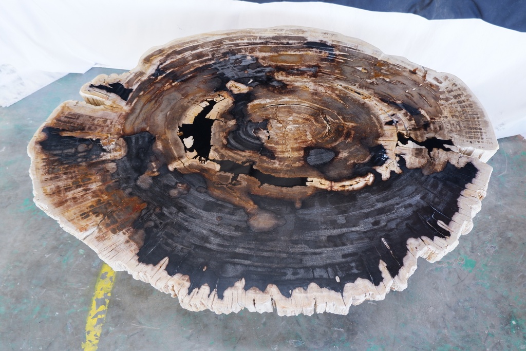 Eliza Coffee Table - Natural Dark