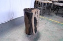 Polished Petrified Wood Stump - Natural Dark