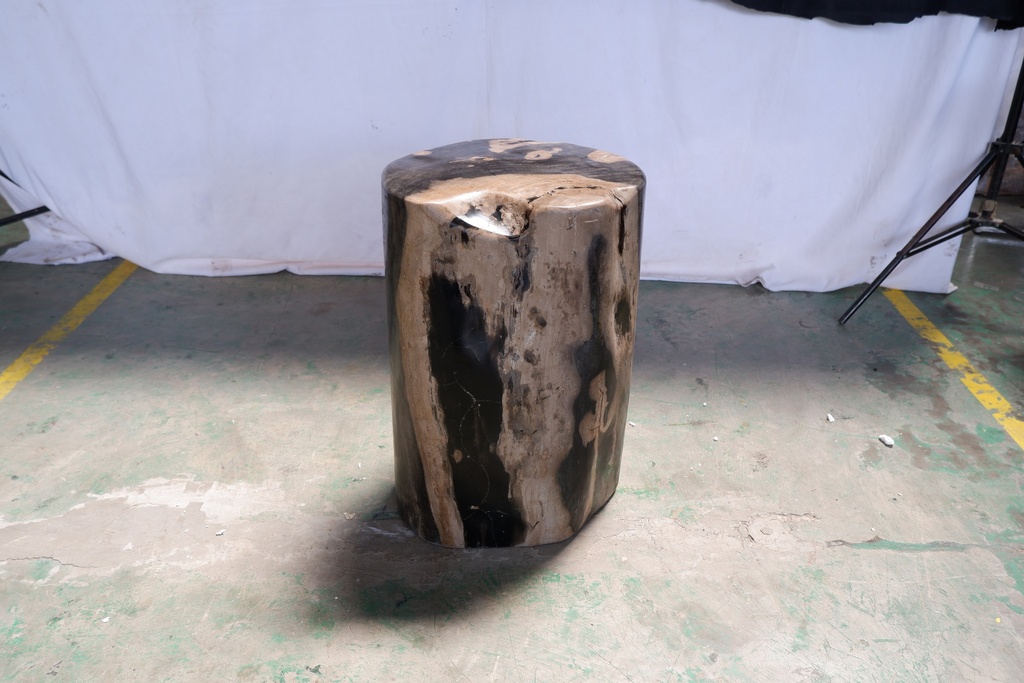 Polished Petrified Wood Stump - Natural Dark