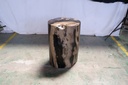 Polished Petrified Wood Stump - Natural Dark
