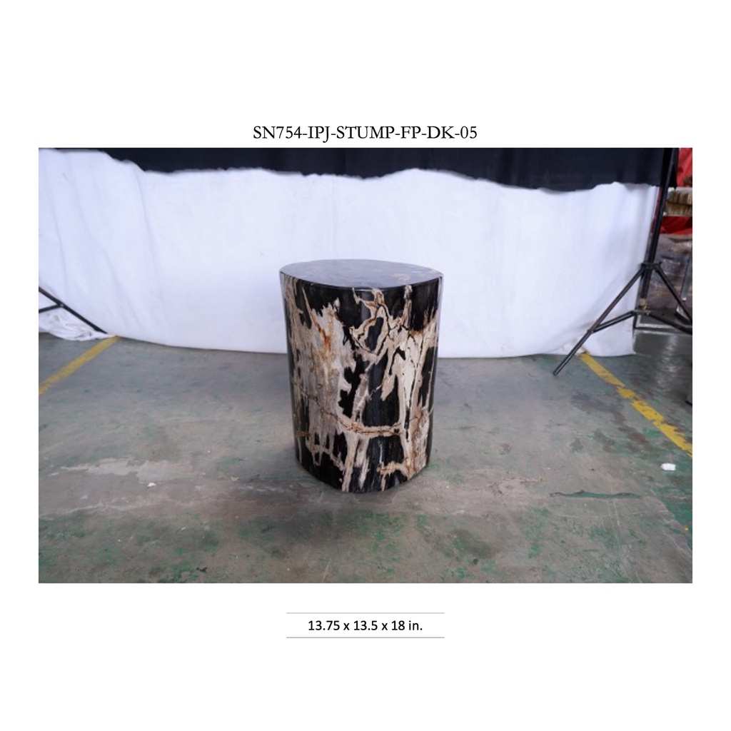 Polished Petrified Wood Stump - Natural Dark