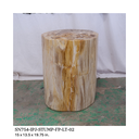 Polished Petrified Wood Stump - Natural Light