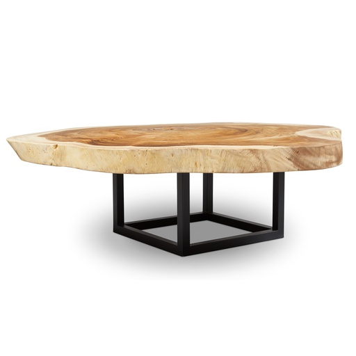 Akara Coffee Table